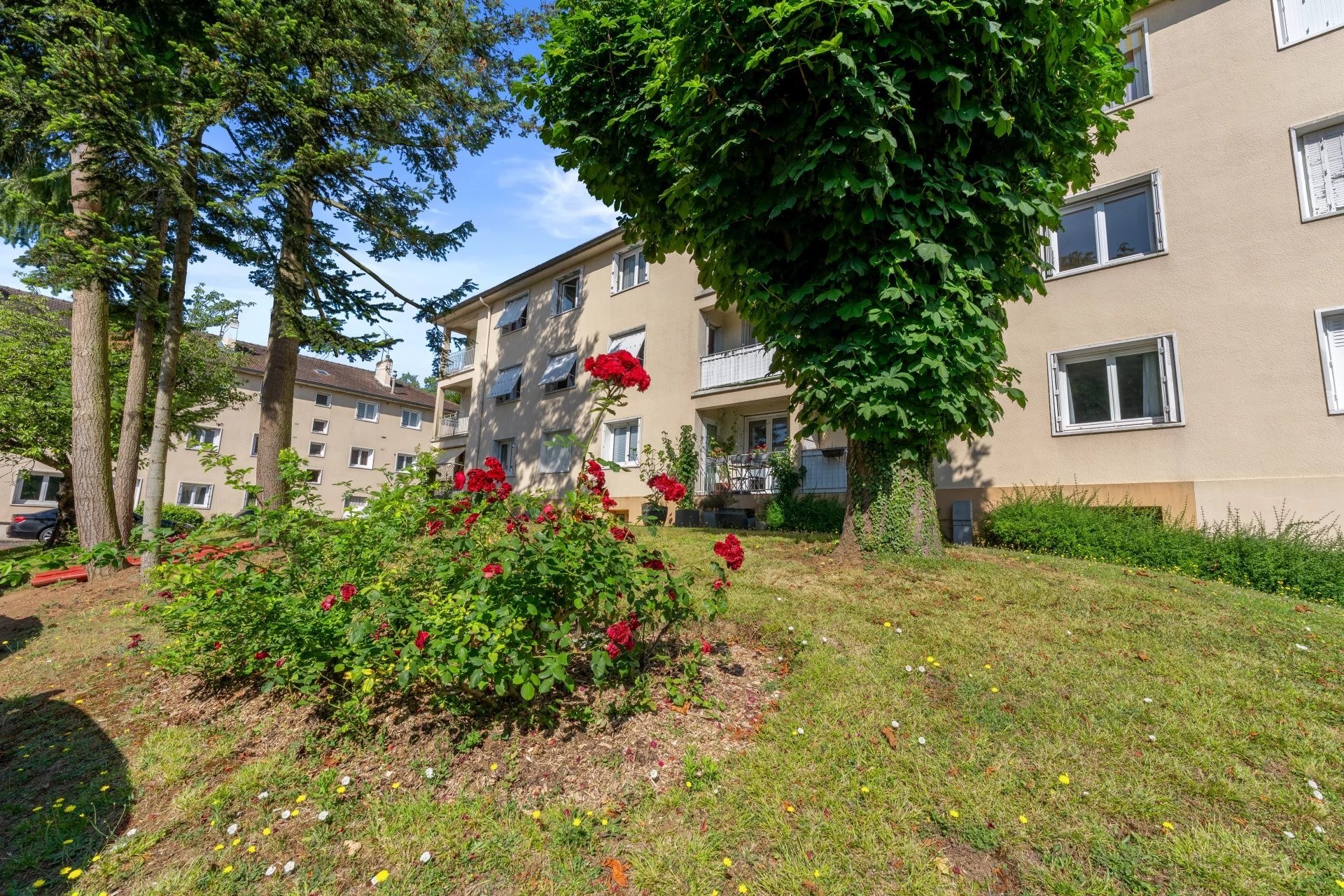 Appartement 3 pièces 50 m²