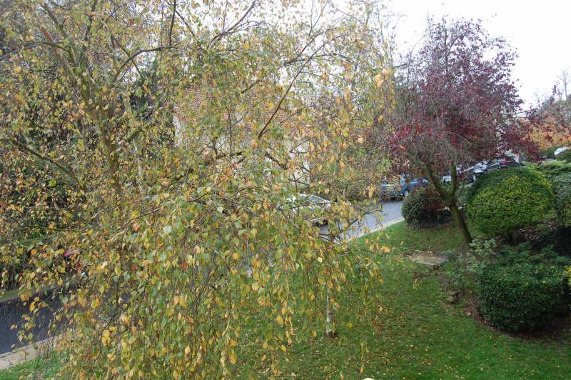 Appartement 5 pièces 83 m²