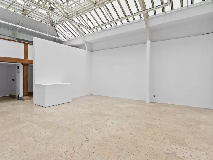 Loft 1 pièce 95 m²