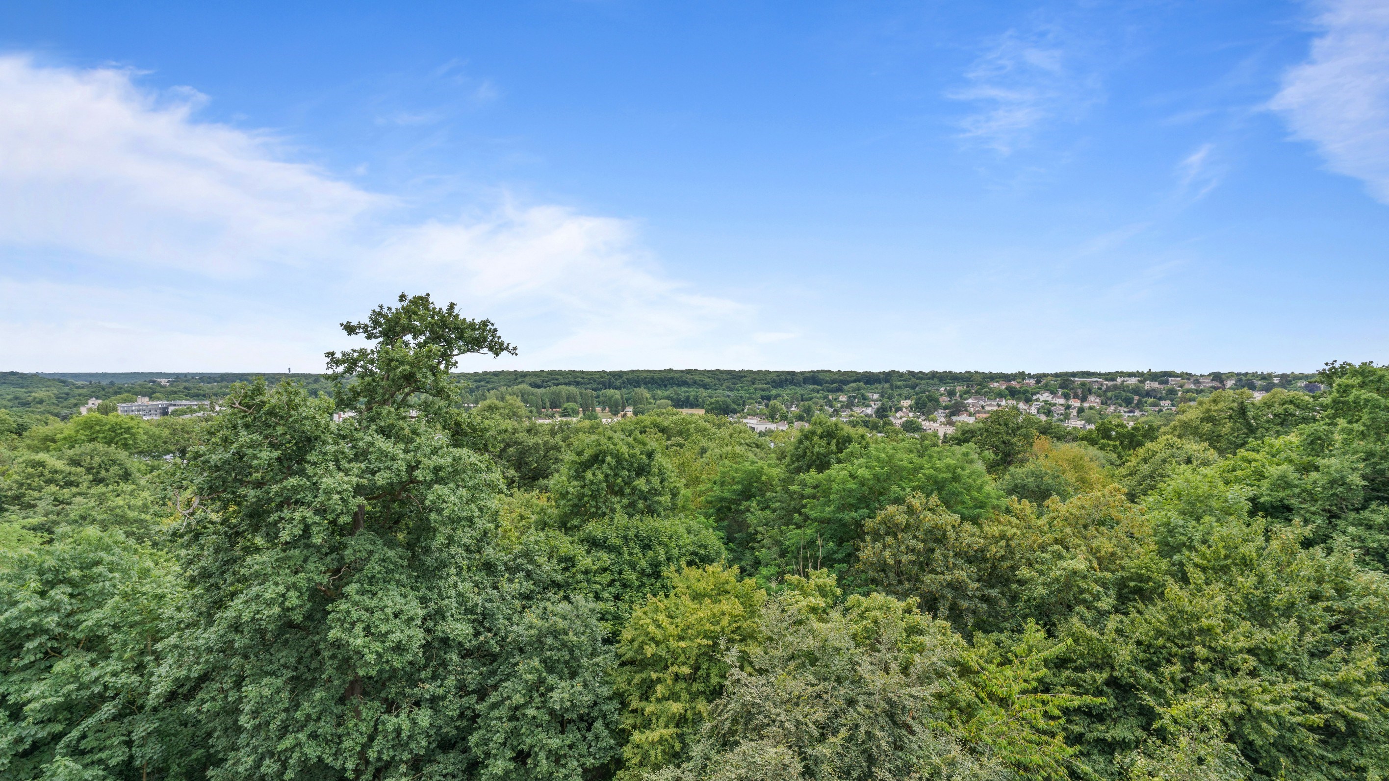 Appartement 3 pièces 77,05 m²